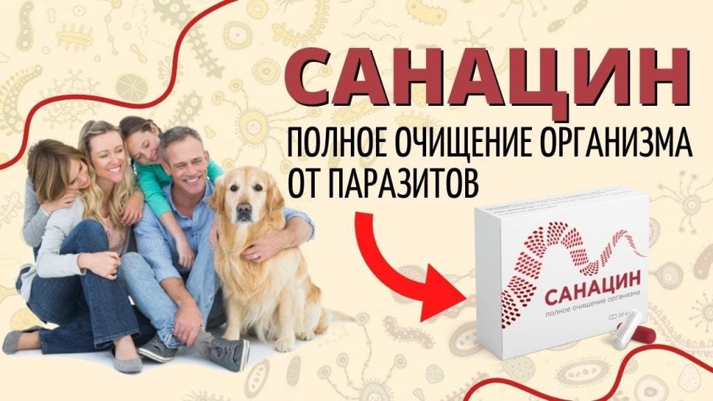 Капсулы «САНАЦИН» от паразитов – инструкция по применению, цена, отзывы, аналоги